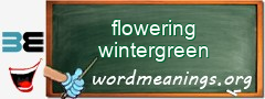 WordMeaning blackboard for flowering wintergreen